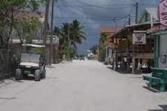 CRW_8116